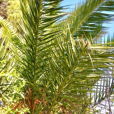 Casa vacanze Casa Diana: Vista Al Mar Y 3min A La Playa Y 30min A Portaventura *